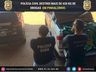 Polícia Civil destrói mais de 650 quilos de maconha em Pinhalzinho