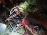 Motorista atropela ciclistas e foge no interior de Itapiranga