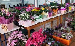 CAESP/APAE de Iporã do Oeste realiza 2ª edição da Feira das Flores