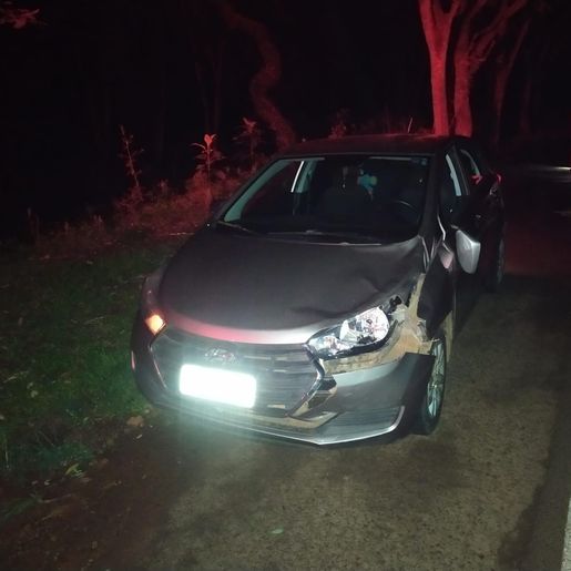 Polícia Militar registra acidente de trânsito com atropelamento de animal