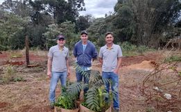 Lions Clube de Iporã do Oeste realiza nova etapa do Projeto 10 mil Árvores