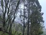 Defesa Civil detalha impactos do temporal em São Miguel do Oeste