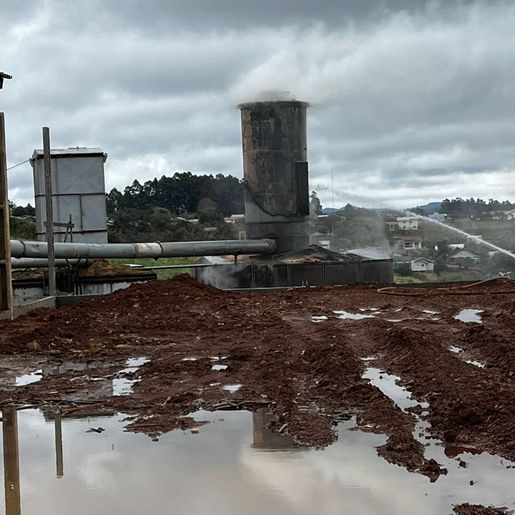 Incêndio atinge depósito de maravalha de empresa no interior de Paraíso 