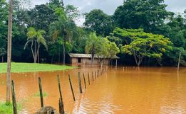 Fotos: Cheia dos rios em Itapiranga causa alagamentos