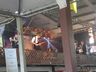 Cultura, música, gastronomia e chopp: Confira as atrações da Oktoberfest de domingo