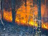 Morador reclama de queimadas constantes em área de reflorestamento de SMOeste 