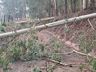Veja a cobertura completa e as fotos do temporal que causou estragos em São Miguel do Oeste