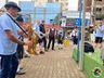 VÍDEO: Musikantentreffen reúne diversos músicos na 42ª Oktoberfest