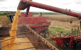 Agropecuária comanda avanço das exportações do Brasil