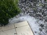 Chuva de granizo atinge municípios da região neste domingo