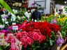 Central Flor, Floricultura e Paisagismo comemora 1 ano em São Miguel do Oeste