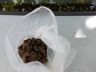 Polícia apreende maconha em duas residências em São José do Cedro