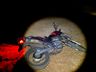 Motociclista foge da PM, abandona moto e se esconde em mata no Bairro Santa Rita, em SMO