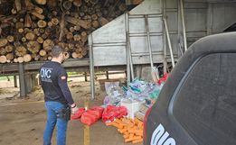 Mais de 1,4 tonelada de drogas é incinerada em Chapecó e Maravilha