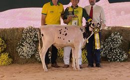 3º dia do Itaipu Rural Show tem como destaque Feira Ranqueada de Animais
