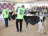 Julgamento de bovinos marca penúltimo dia da 10ª FAIC, em Iporã do Oeste