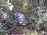 Homem morre em colisão com árvore na SC-157