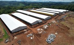 OUÇA: Nova granja de matrizes da Cooper A1 será inaugurada nesta sexta-feira