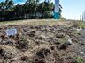 VÍDEO: Moradores reclamam de algazarra em loteamento e cobram rondas da PM