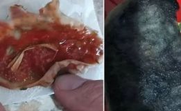 Marca é indiciada após fungos e ovos de parasitas em molho de tomate