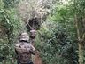 Polícia Militar Ambiental apreende armas de fogo e palanques nativos