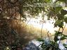 Idoso morre afogado em açude