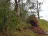 Temporais causam estragos em Itapiranga