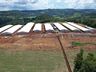 OUÇA: Nova granja de matrizes da Cooper A1 será inaugurada nesta sexta-feira