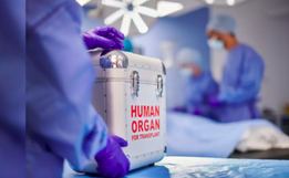 Mais de 1,5 mil aguardam por novos órgãos na fila do transplante em SC