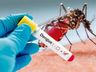 Sobe para 90 o número de casos de dengue em São Miguel