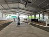 Animais da Mercoleite começam a chegar no parque de exposições