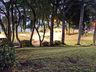 Praça da Igreja Matriz recebe investimento de R$ 15 mil em lâmpadas de LED