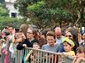 Desfile Militar marca o Dia da Independência em São Miguel do Oeste