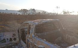 Incêndio em vegetação atinge 100 hectares após carro pegar fogo no interior de Sul Brasil