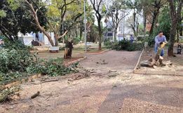 Urbanismo intensifica ações na praça Walnir Bottaro Daniel
