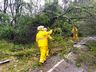 Vento e chuva  forte deixa prejuízos em Campo Erê e região  