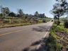 Motorista  morre em saída de pista na SC-161