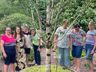 Horto da Vida de Mondaí dispõe mais de 230 espécies de plantas medicinais
