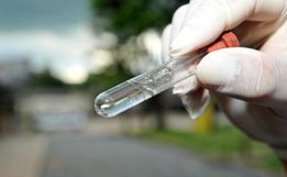 São Miguel do Oeste registra primeira semana sem Dengue