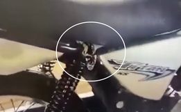 VÍDEO: Cobra de 2 metros de comprimento é encontrada dentro de motocicleta em SC