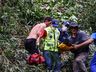 Vídeo: Trabalhador fica ferido ao ser atingido por árvore no interior de Bandeirante