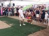 Desfile de cães tem presença de 20 animais na Efrait 2024