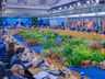 Declaração final do G20 aborda mudanças climáticas, guerras e taxação de super-ricos