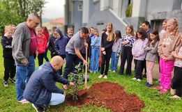Igreja Católica desenvolve campanha para plantio de árvores