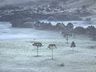 Serra de SC registra geada e temperatura de 4°C em pleno verão