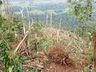 Ventos fortes causam grande destruição no interior de Iporã do Oeste