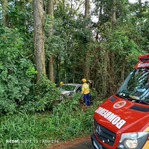 Saída de pista e colisão em árvore deixa um ferido na BR 282