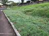 Geada muda cenário na região de Itapiranga