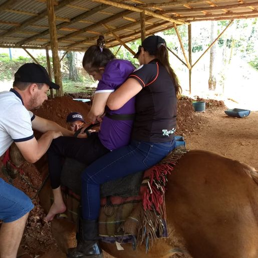 Empresário de São José do Cedro doa égua para sessões de equoterapia 