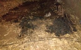 Homem agride companheira e inicia fogo em galpão 